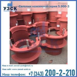 Сальники нажимные серия 5.900-3 в Нефтеюганске